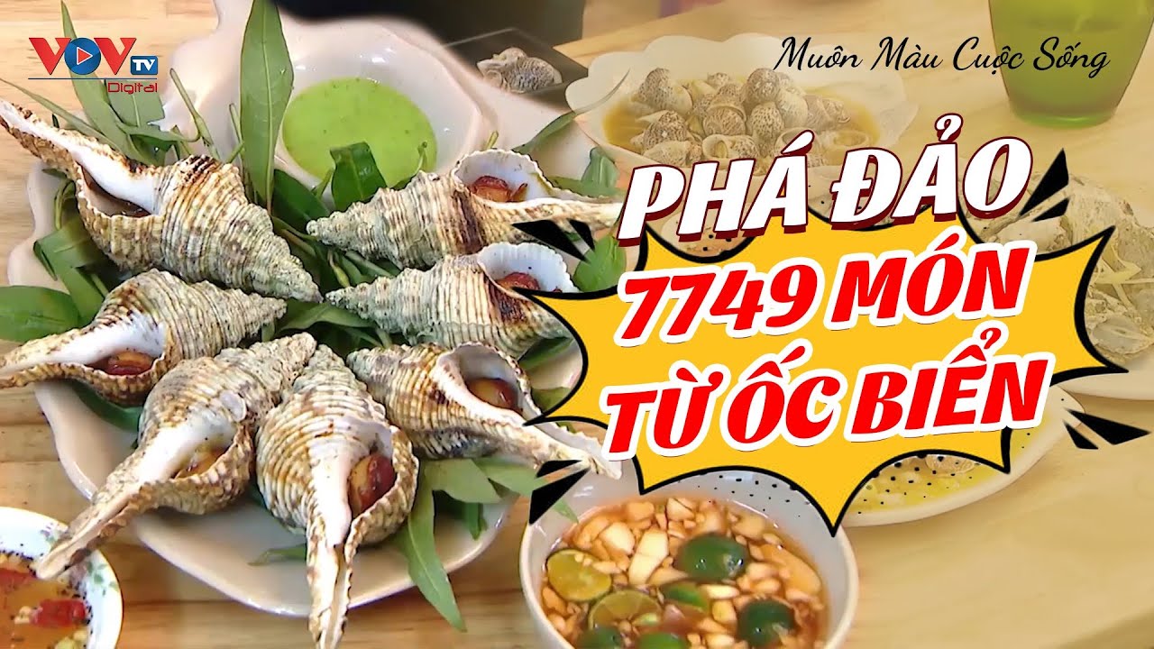 Phá đảo 7749 món chế biến từ Ốc Biển | Muôn Màu Cuộc Sống | Ẩm Thực Việt Nam | VOVTV Travel