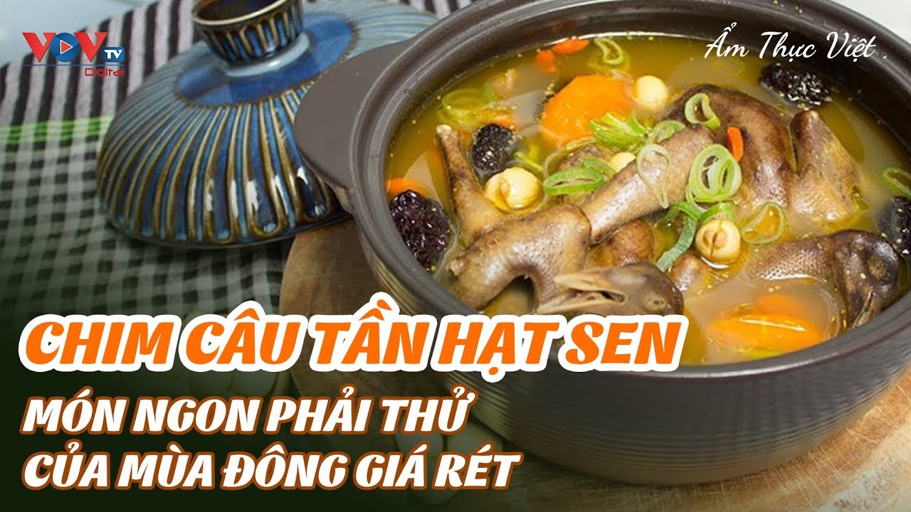 Chim câu tần hạt sen - Món Ngon Phải Thử Của Mùa Đông Giá Rét | Ẩm Thực Việt | VOVTV Travel