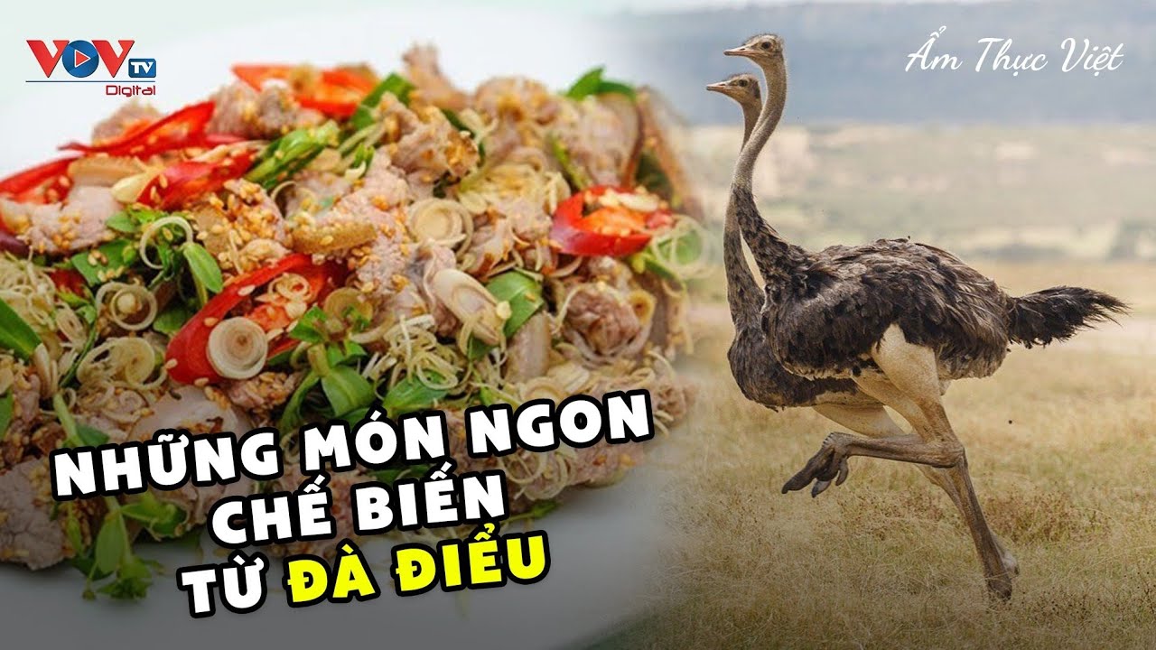 Những Món Ngon Chế Biến Từ Đà Điểu | Ẩm Thực Việt | VOVTV Travel