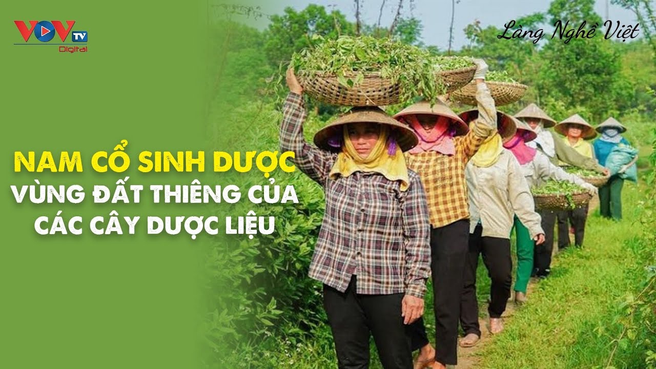 Nam cổ Sinh Dược -  Vùng Đất Thiêng Của Các Cây Dược Liệu | Làng Nghề Việt | VOVTV Travel