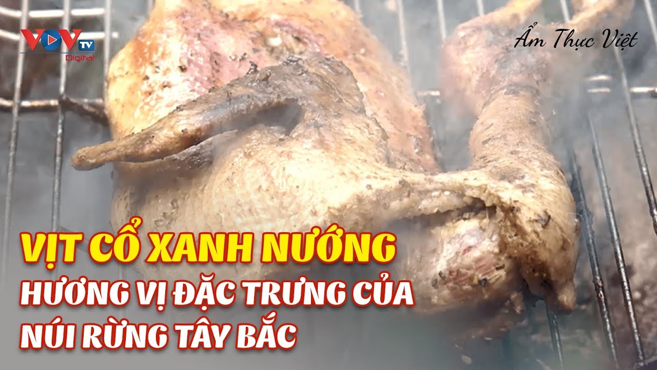 Vịt cổ xanh nướng - Hương Vị Đặc Trưng Của Núi Rừng Tây Bắc | Ẩm Thực Việt | VOVTV Travel