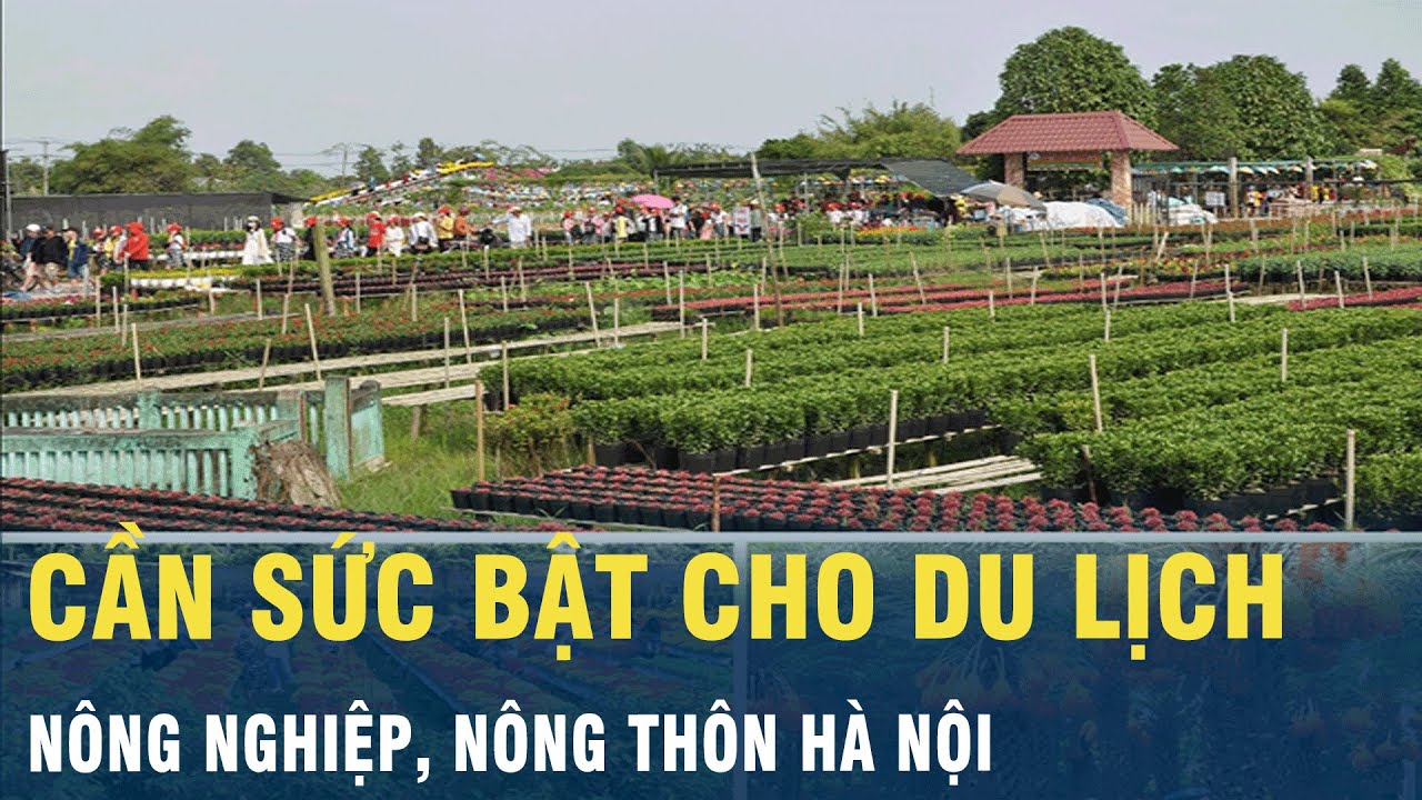 Cần sức bật cho du lịch nông nghiệp, nông thôn Hà Nội | VOV