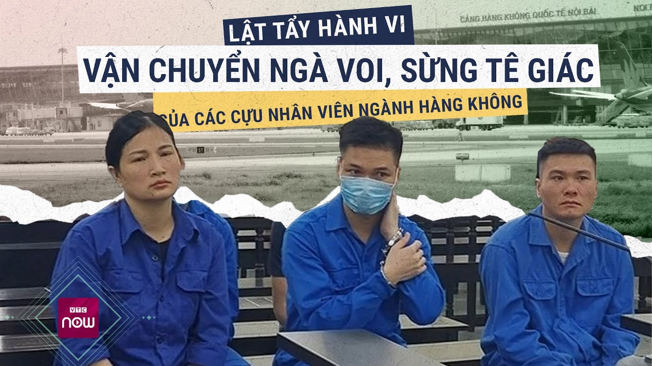 Lật tẩy hành vi vận chuyển hàng cấm quốc tế của nhân viên dịch vụ cảng hàng không | VTC Now