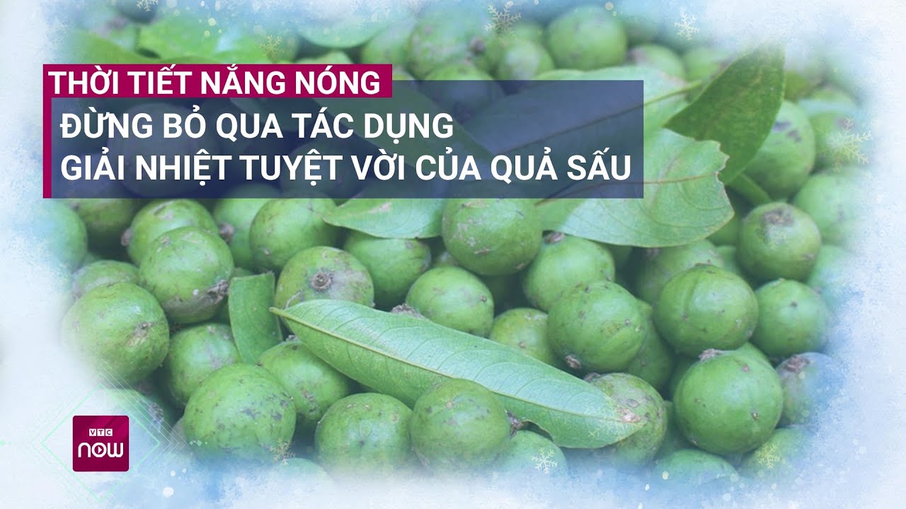 Thời tiết nắng nóng, đừng bỏ qua tác dụng giải nhiệt tuyệt vời của quả sấu | VTC Now