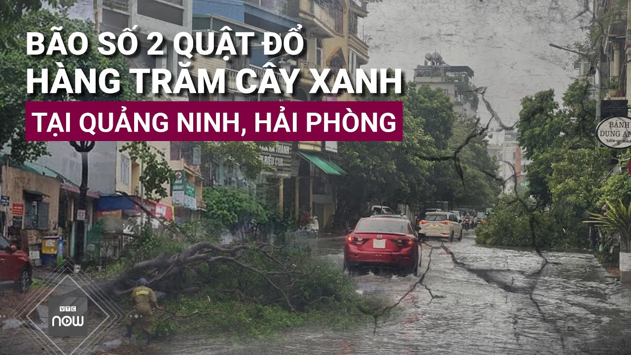 Bão số 2 quật đổ hàng trăm cây xanh tại Quảng Ninh, mưa lớn trên toàn miền Bắc | VTC Now