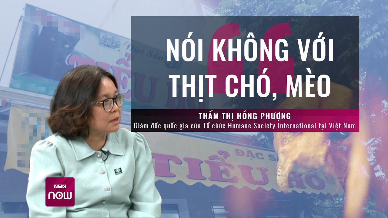 Chó là người bạn đồng hành hay chỉ là động vật nuôi trong trang trại và giết thịt? | VTC Now