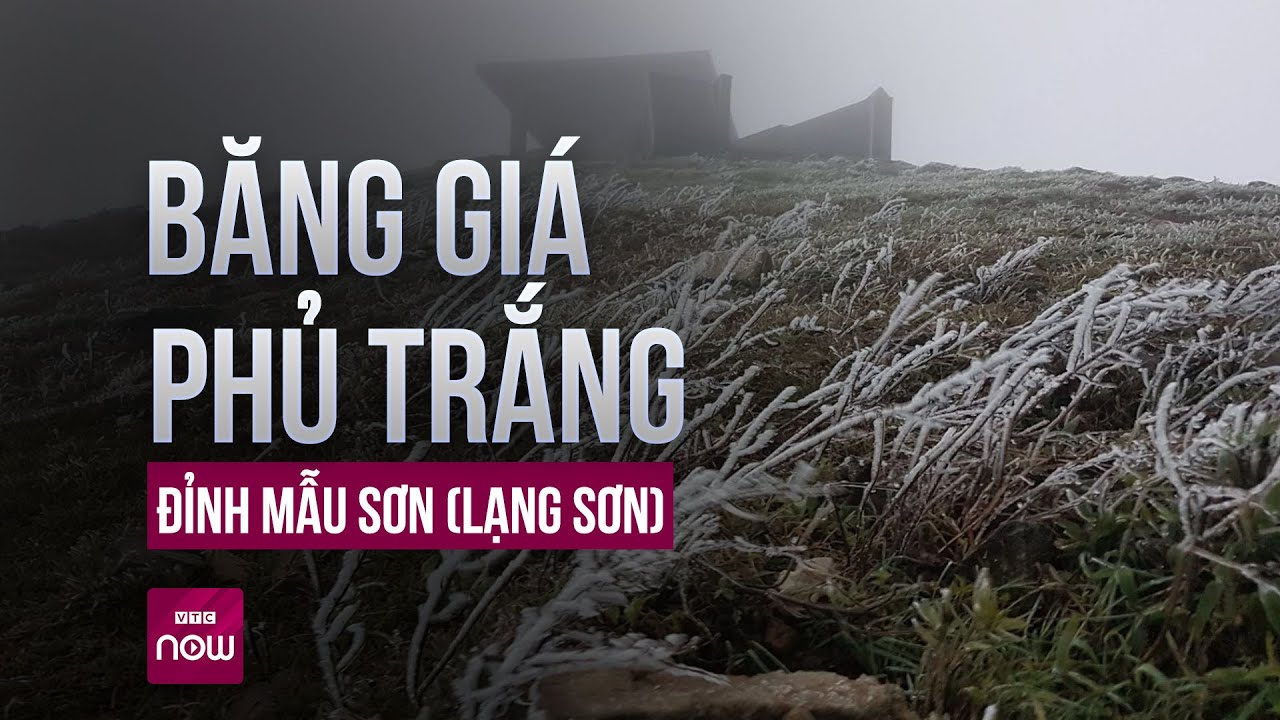 Băng giá phủ trắng xóa đỉnh Mẫu Sơn (Lạng Sơn) | Tin nóng trong ngày | VTC Now