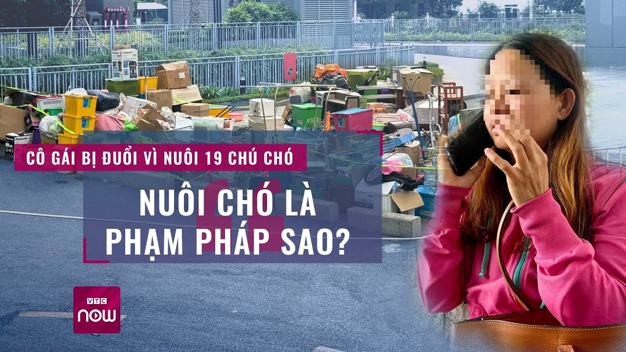 Cô gái bị "đuổi" khỏi chung cư vì nuôi 19 chú chó: “Nuôi chó là phạm pháp sao?” | VTC Now