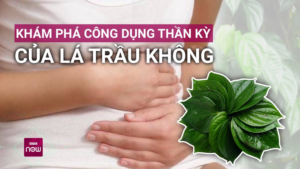 Khám phá công dụng thần kỳ của "thần dược" ít người biết tới: Lá trầu không | VTC Now