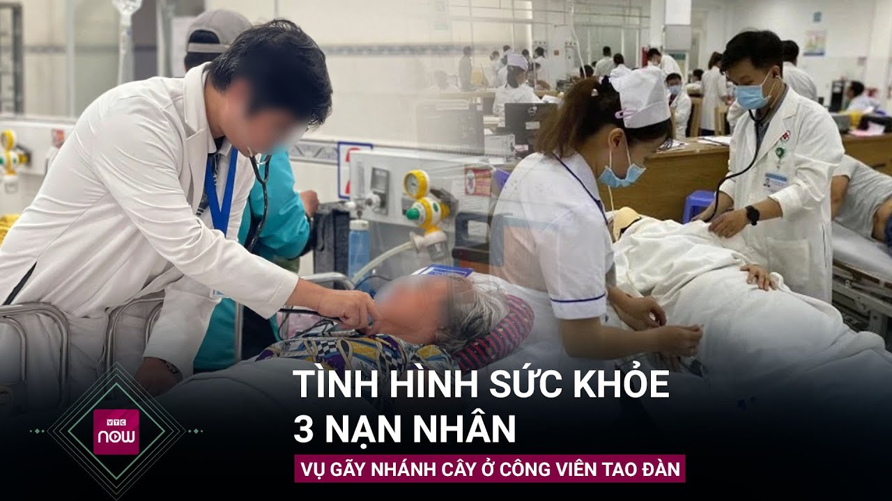 Cập nhật tình hình sức khỏe 3 nạn nhân bị thương do gãy nhánh cây ở Công viên Tao Đàn | VTC Now