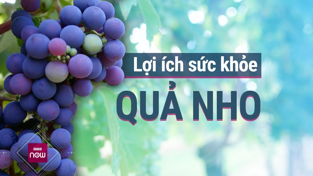 Quả Nho: "Dược liệu tự nhiên" giúp bảo vệ tim mạch, ngăn ngừa ung thư? | VTC Now