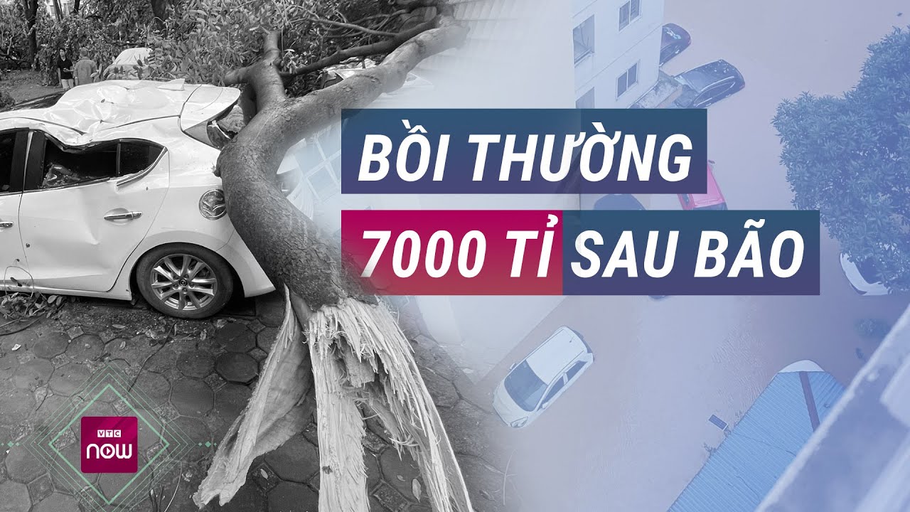 Tiết lộ con số khổng lồ bảo hiểm sẽ bồi thường sau bão Yagi: Lên tới hàng nghìn tỉ đồng | VTC Now