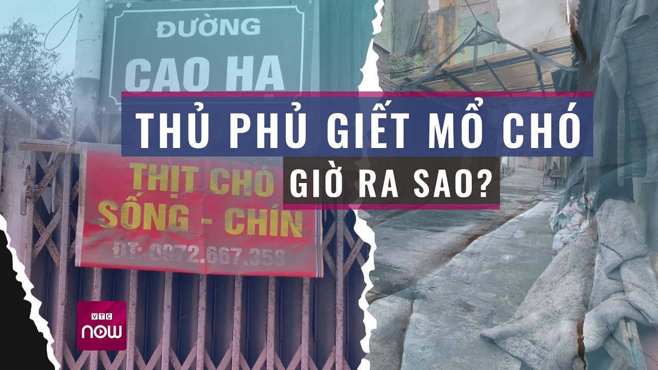 Làng giết mổ chó lớn nhất nhì miền Bắc, mỗi ngày tiêu thụ tới 5 tấn thịt chó giờ ra sao? | VTC Now