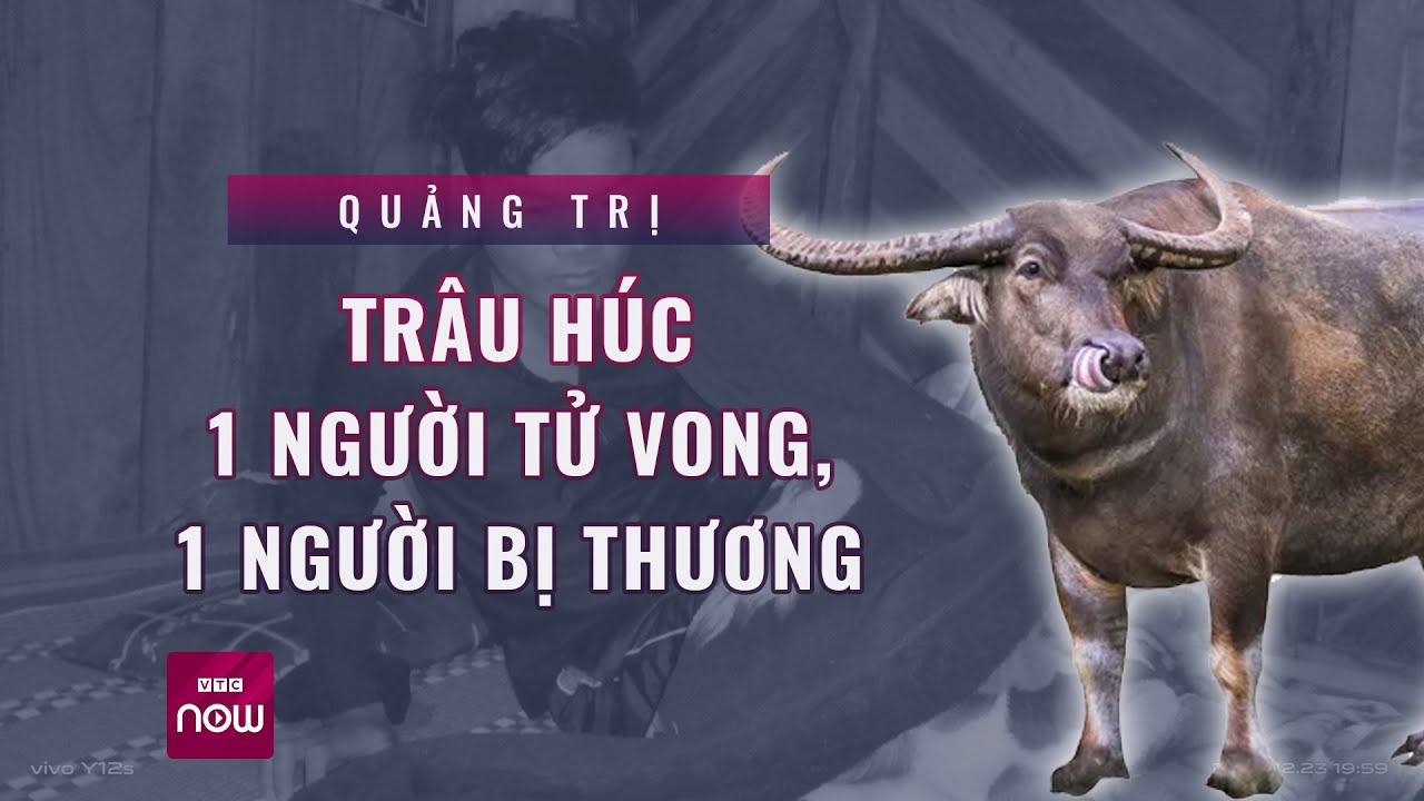 Trâu dữ tấn công, một người dân ở Quảng Trị tử vong| Tin nóng trong ngày | VTC Now