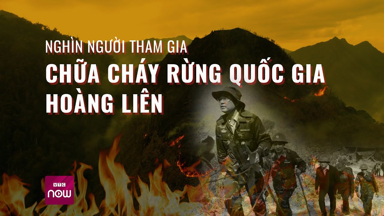 Vụ cháy rừng Hoàng Liên: Huy động quân số "khủng" các lực lượng, xử lý dứt điểm đám cháy | VTC Now