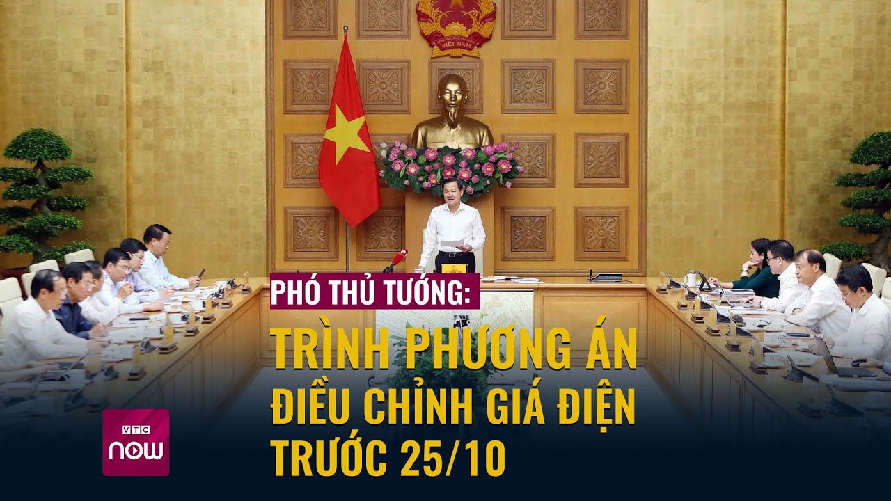 Phó Thủ tướng Lê Minh Khái yêu cầu trình phương án điều chỉnh giá điện trước 25/10 | VTC Now