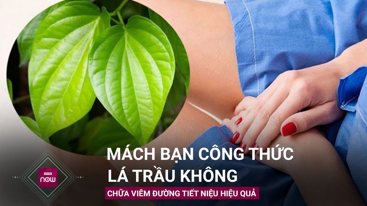 Tiêu viêm đường tiết niệu hiệu quả và an toàn với bài thuốc từ lá trầu không | VTC Now