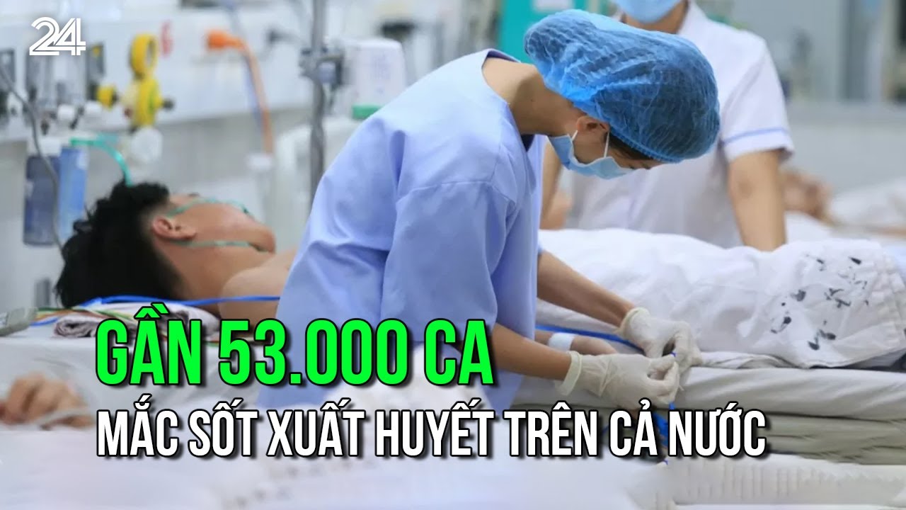 Gần 53.000 ca mắc sốt xuất huyết trên cả nước | VTV24