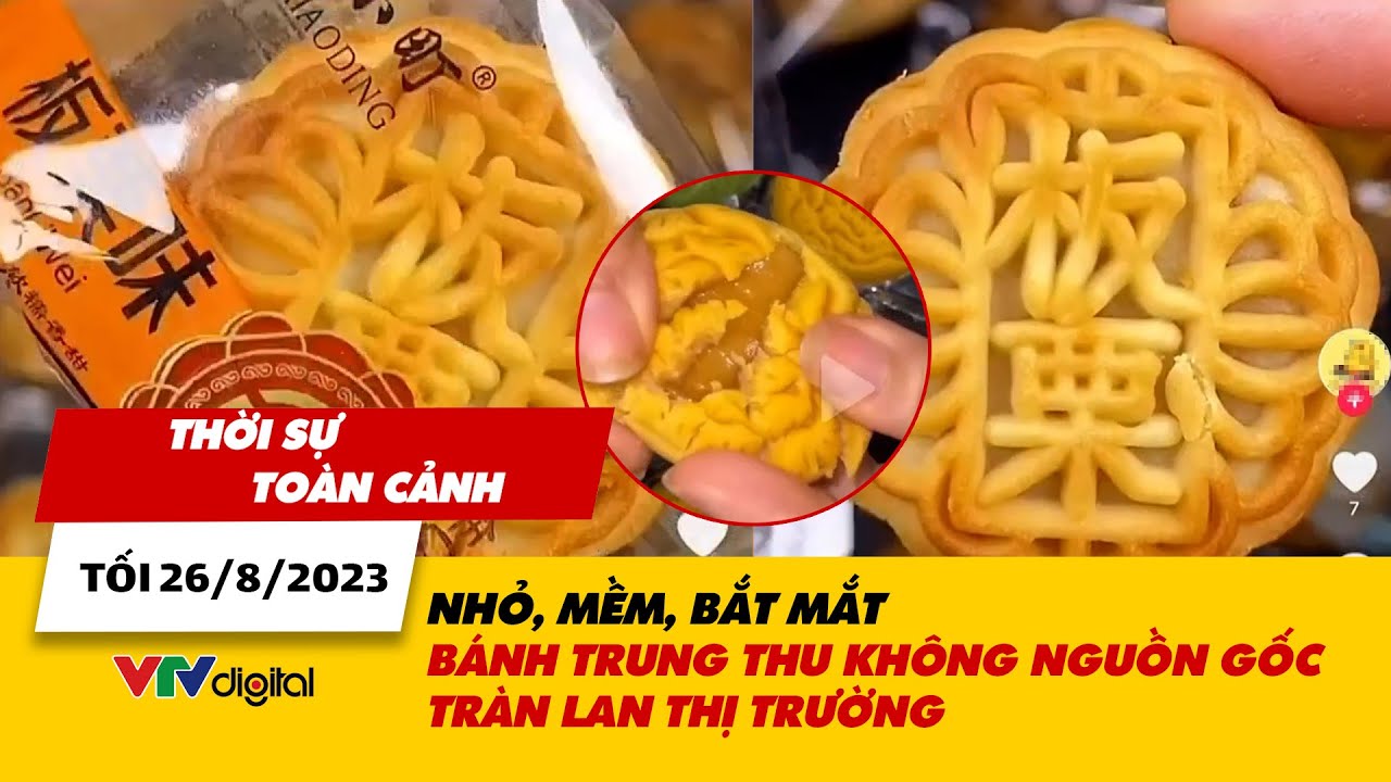 Thời sự toàn cảnh tối 26/8: Bánh trung thu không rõ nguồn gốc lại tràn lan | VTV24