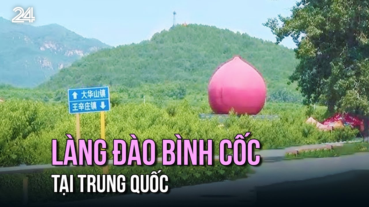 Nức tiếng làng đào Bình Cốc tại Trung Quốc| VTV24