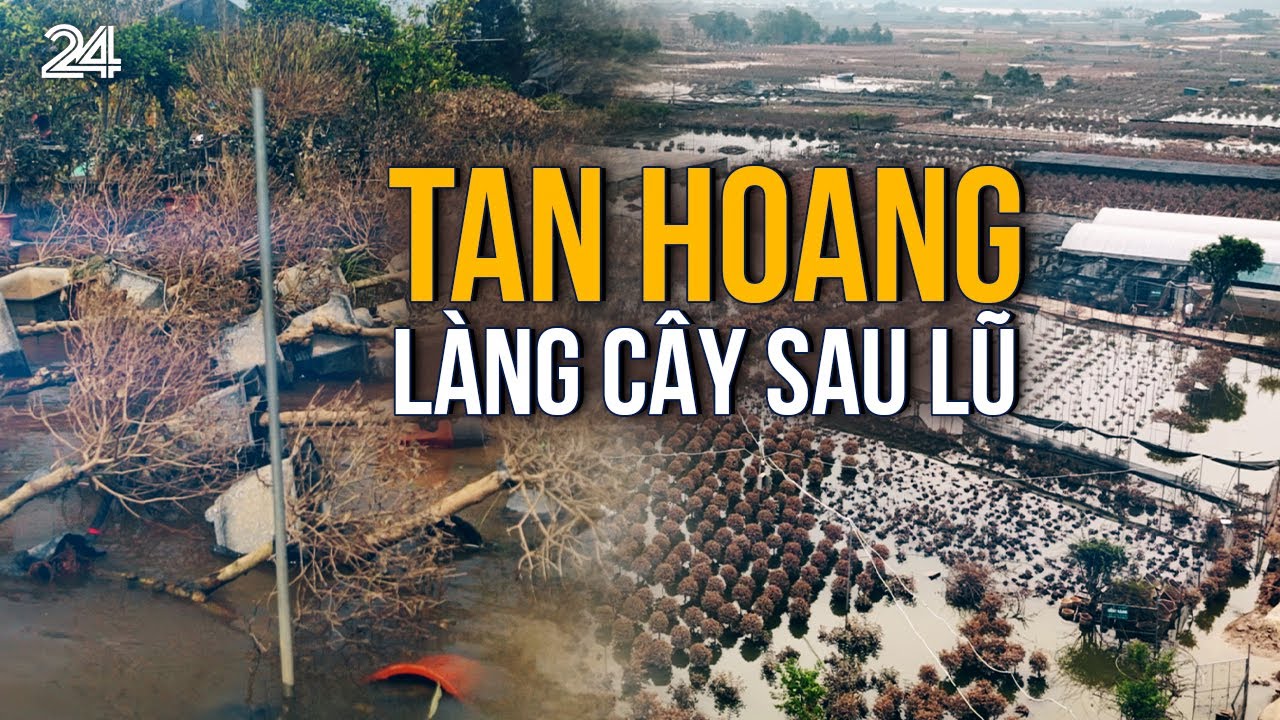 Làng cây cảnh sau lũ: Đồng ruộng tan hoang, lòng người tan nát | VTV24