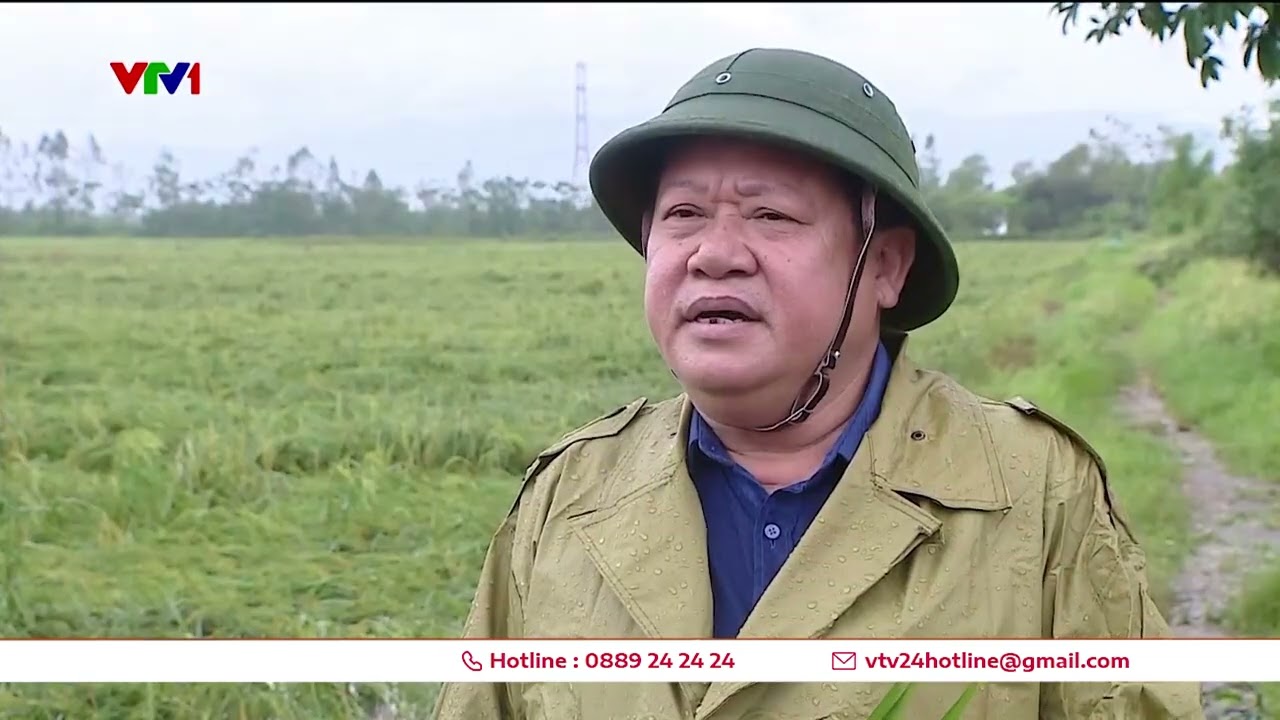 Hồ thủy điện tại Yên Bái và Tuyên Quang xả lũ, nhiều địa phương nỗ lực thoát nước cứu lúa | VTV24