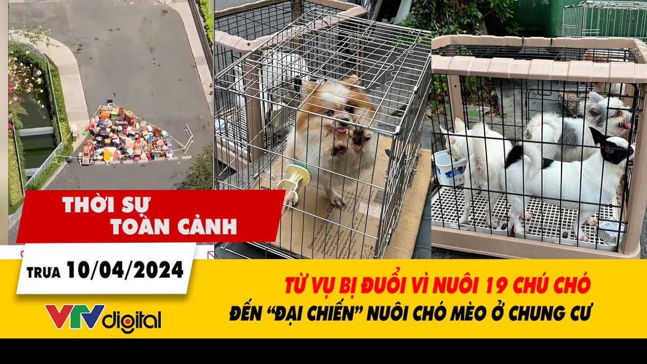 Thời sự toàn cảnh 10/4: Vụ bị đuổi vì nuôi 19 chú chó và "đại chiến" nuôi chó mèo ở chung cư | VTV24