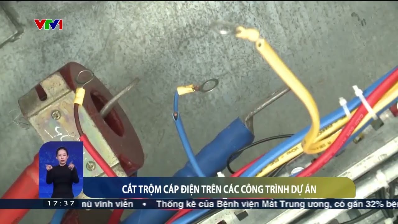 Đường chưa kịp bàn giao, thiết bị điện đã bị trộm mất | VTV24