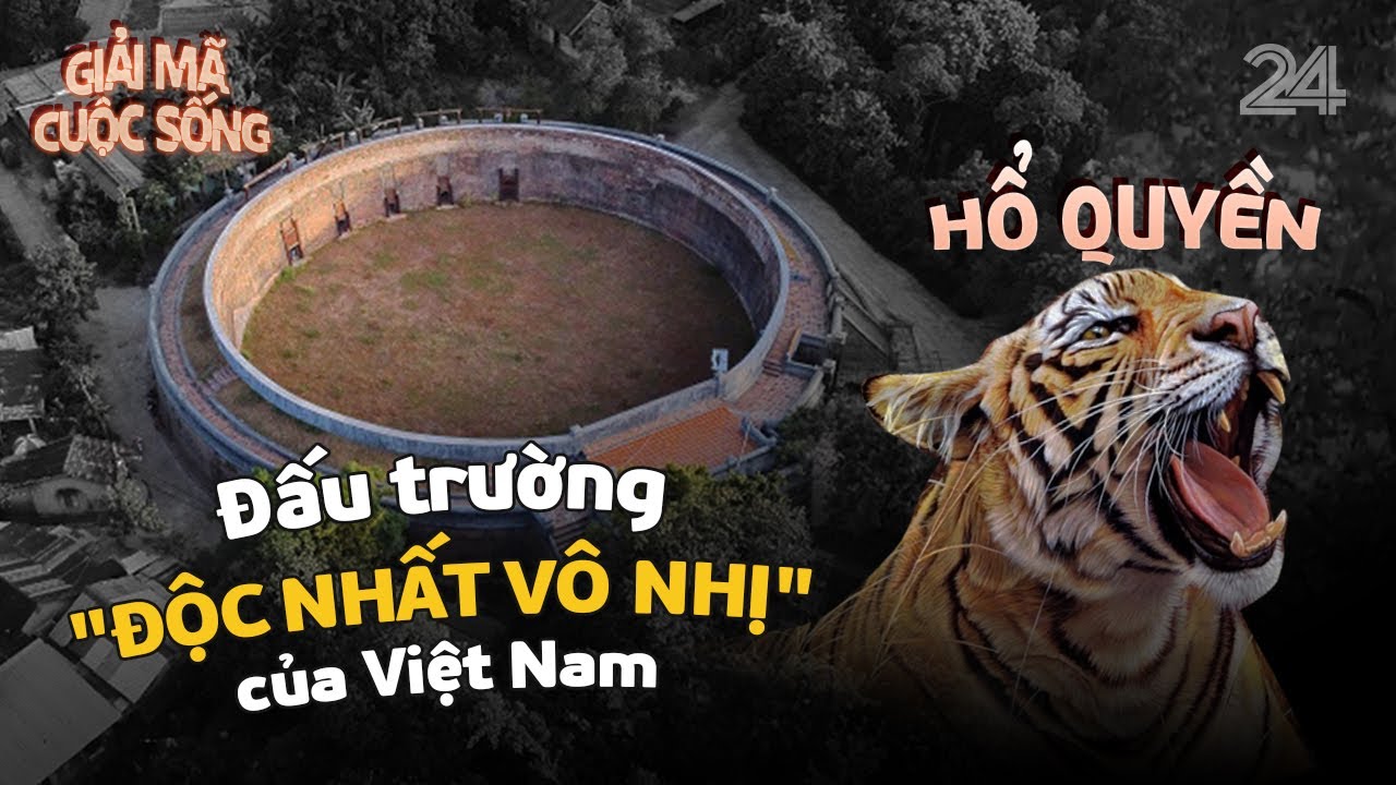 Hổ Quyền - Đấu trường "độc nhất vô nhị" của Việt Nam | VTV24