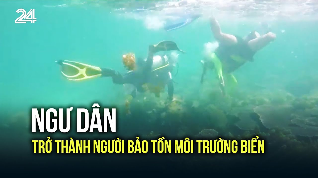 Ngư dân trở thành người bảo tồn môi trường biển | VTV24