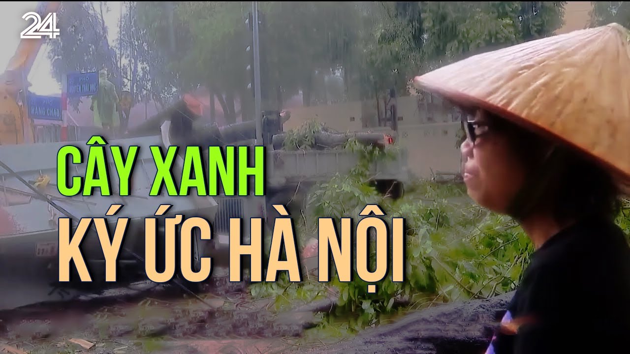 Cây xanh - Ký ức Hà Nội | VTV24