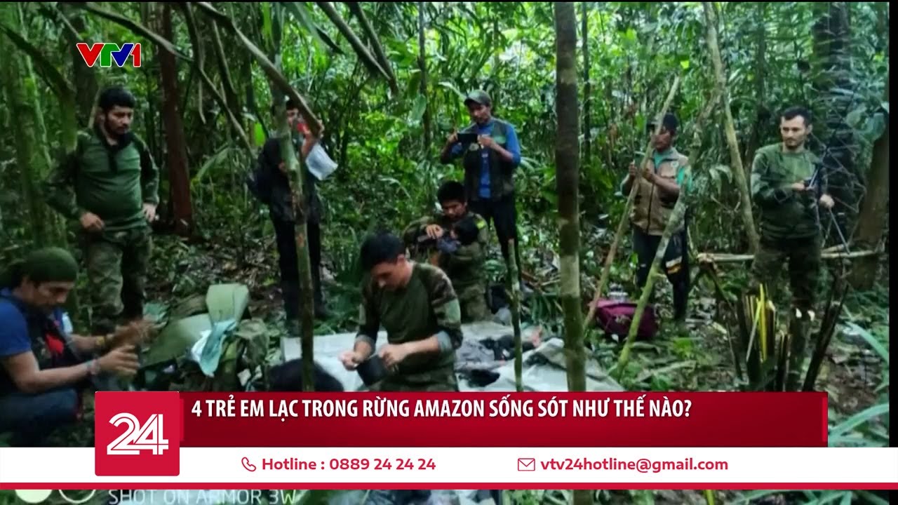 4 trẻ em lạc trong rừng Amazon sống sót như thế nào? | VTV24