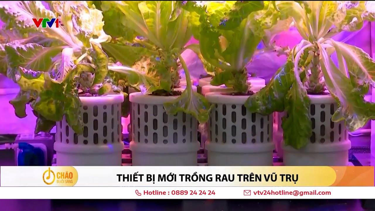 Trồng rau trên vũ trụ | VTV24