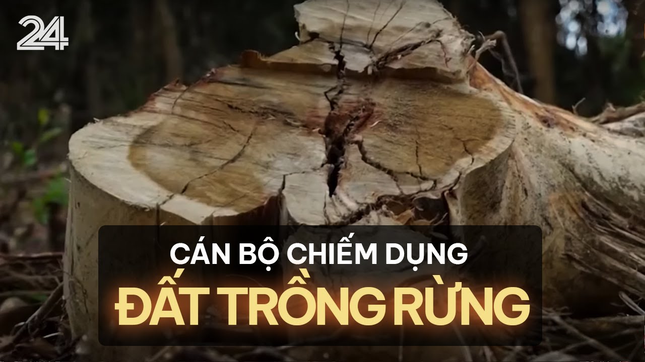 Cán bộ chiếm dụng đất trồng rừng nhằm tư lợi cá nhân | VTV24