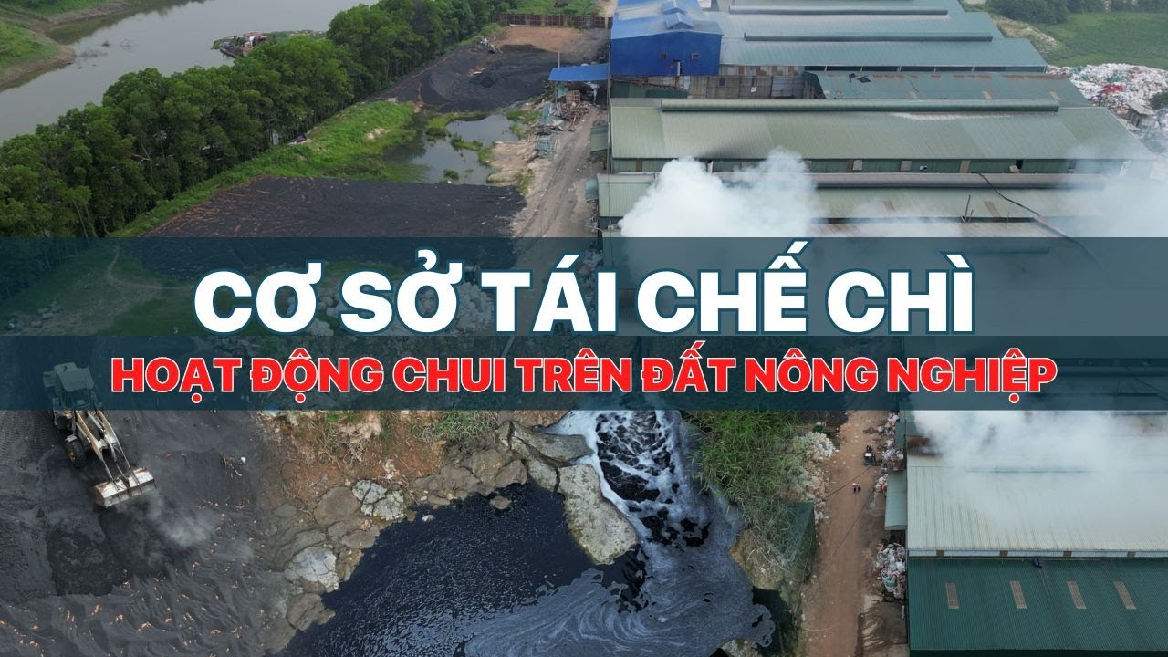 Cơ sở tái chế chì hoạt động chui trên đất nông nghiệp | VTV24