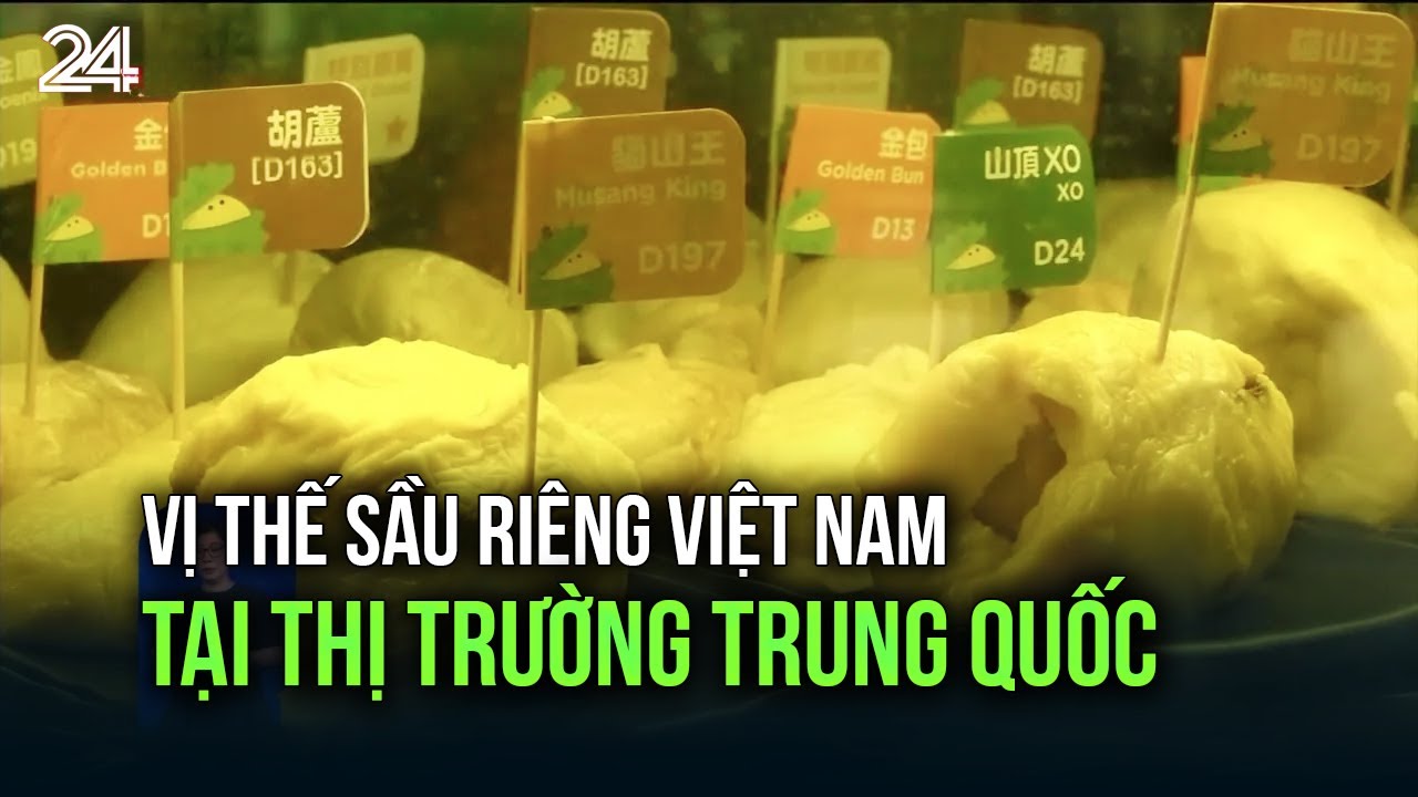 Vị thế sầu riêng Việt Nam tại thị trường Trung Quốc | VTV24