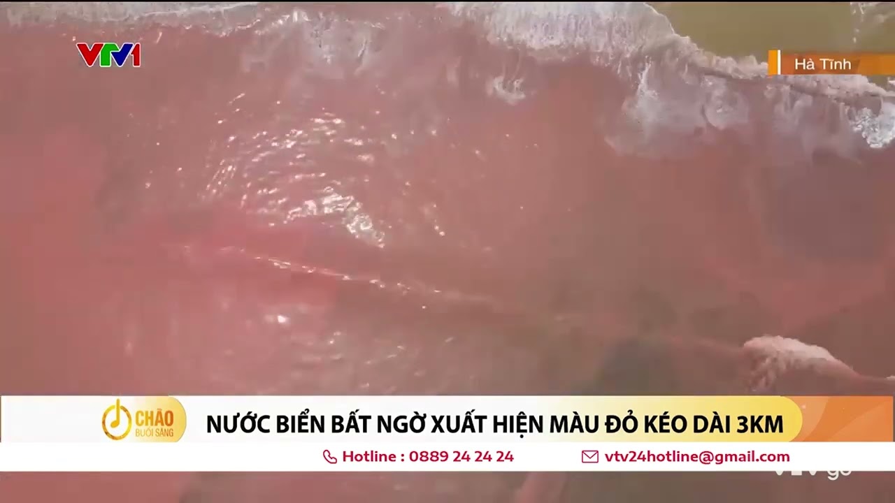 Nước biển ở Hà Tĩnh bất ngờ xuất hiện màu đỏ | VTV24