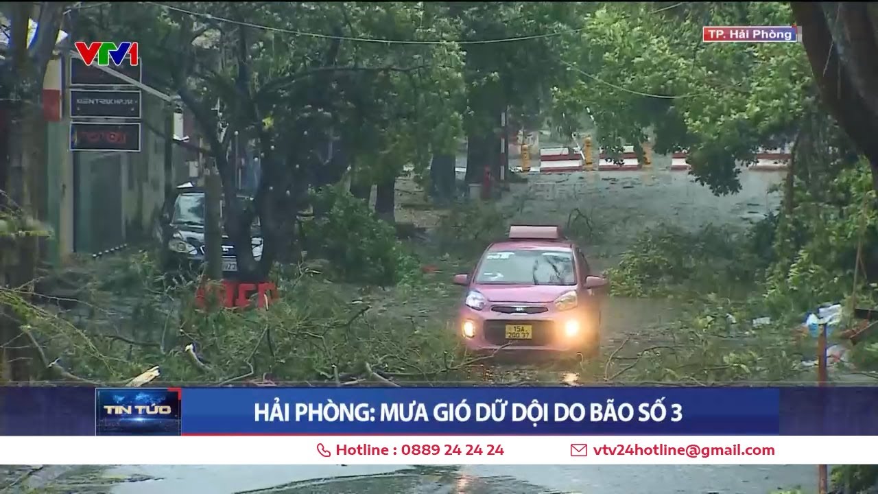 Tin bão 14h ngày 7/9: Bão số 3 đổ bộ vào Quảng Ninh - Hải Phòng: Gió giật, cây đổ, tôn bung la liệt