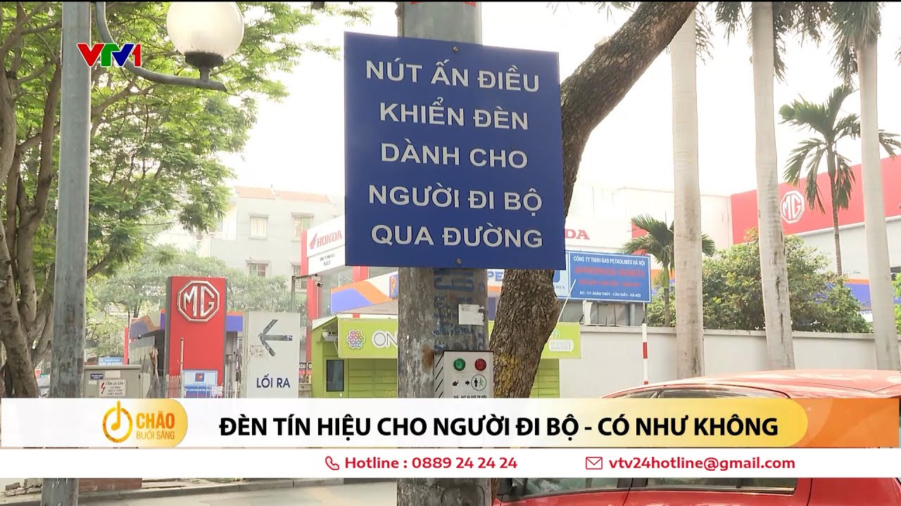 Đèn tín hiệu cho người đi bộ, có cũng như không | VTV24