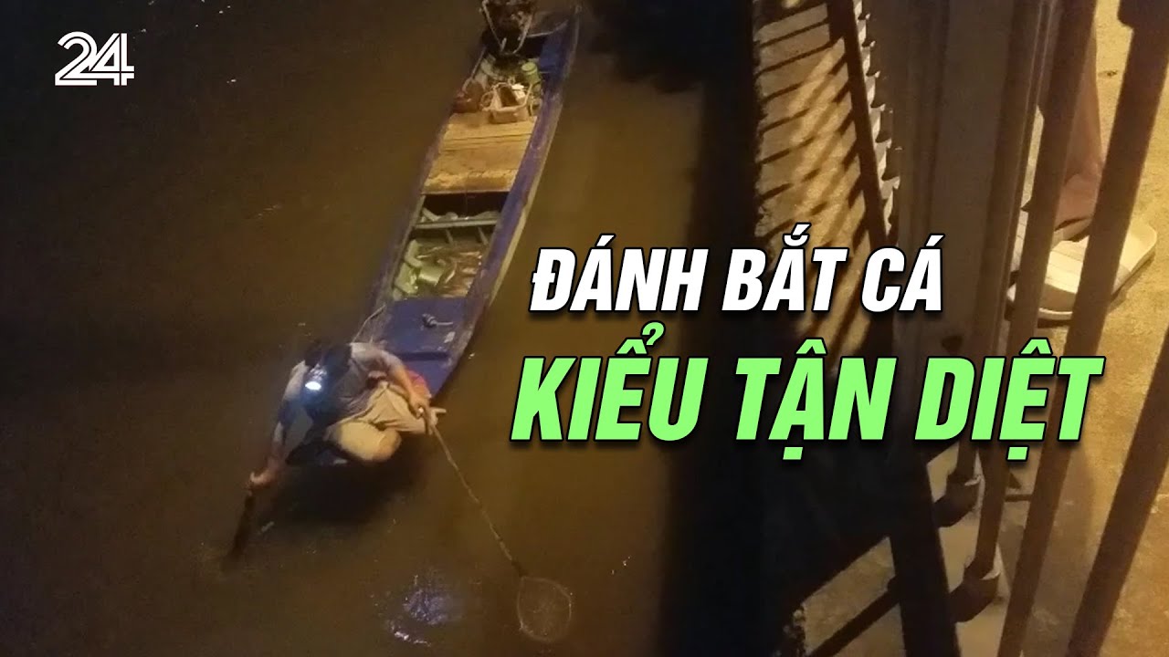 Đánh bắt cá kiểu tận diệt | VTV24