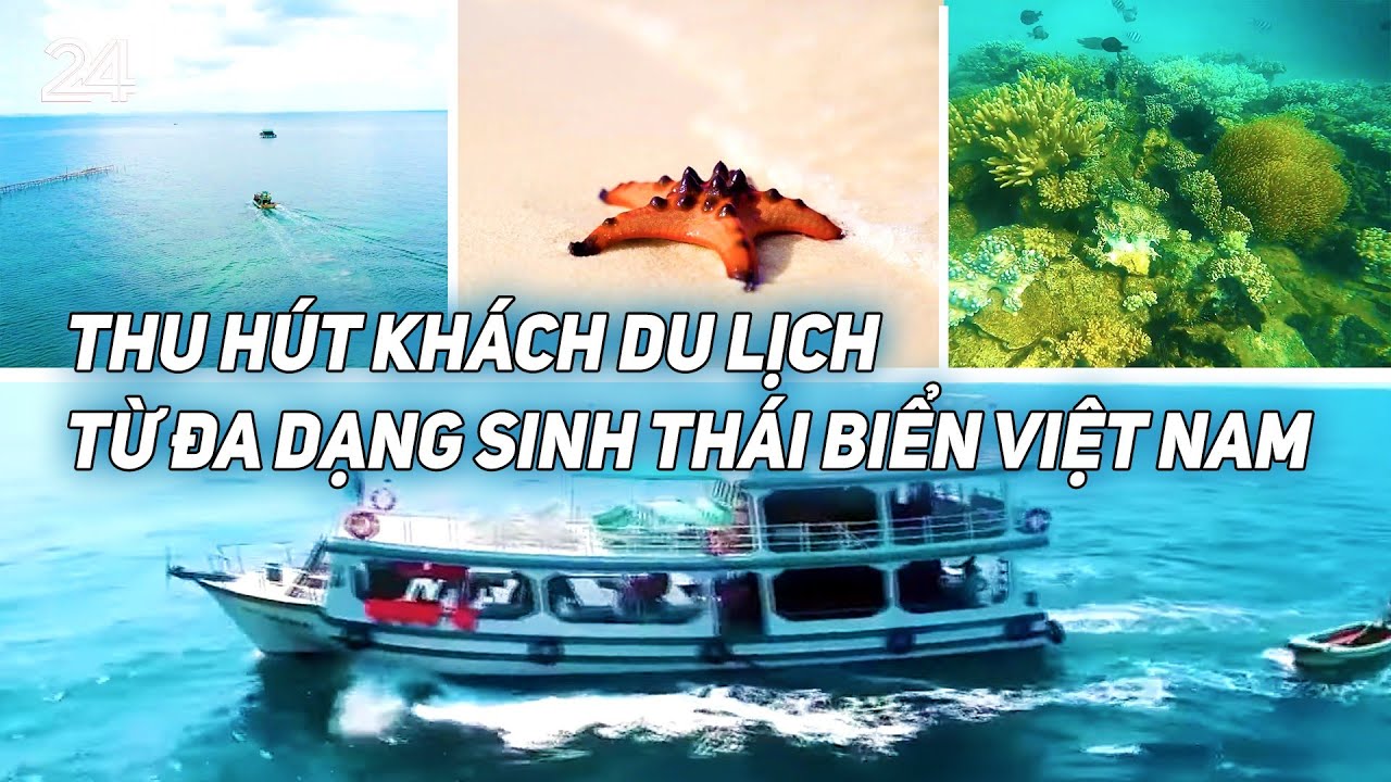 Thu hút khách du lịch từ đa dạng sinh thái biển Việt Nam | VTV24