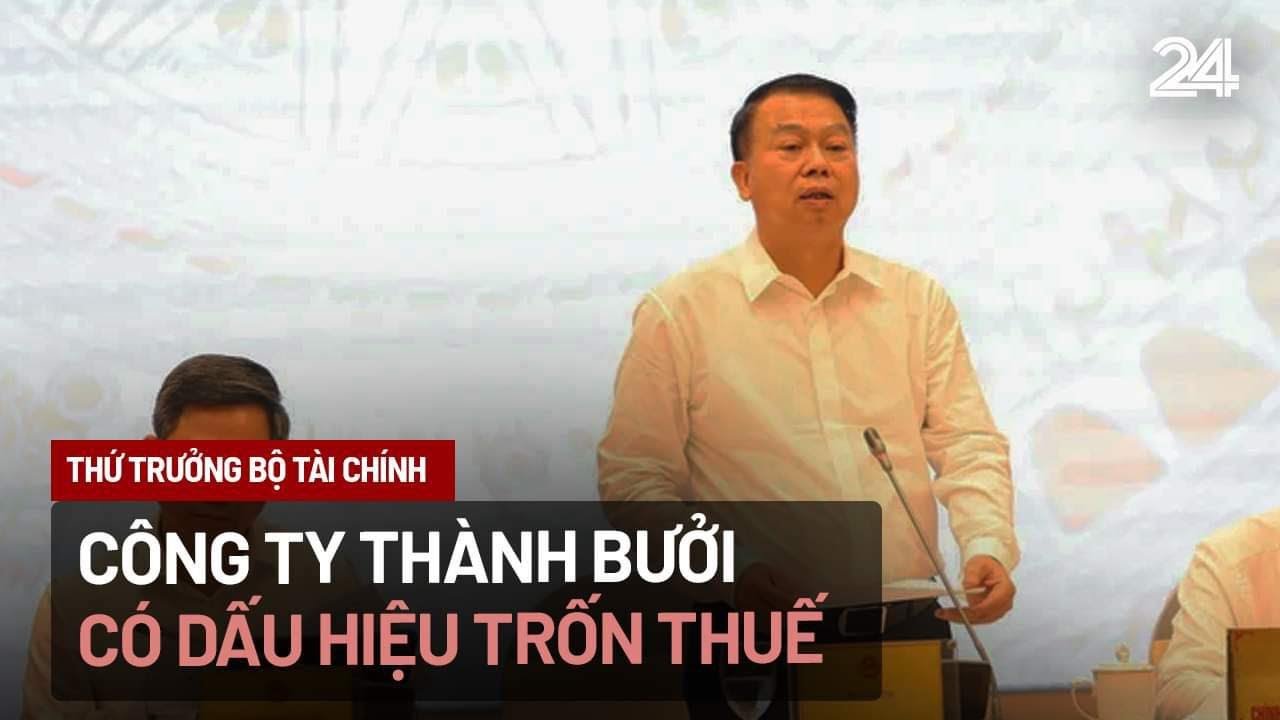 Thứ trưởng Bộ Tài chính: Công ty Thành Bưởi có dấu hiệu trốn thuế | VTV24