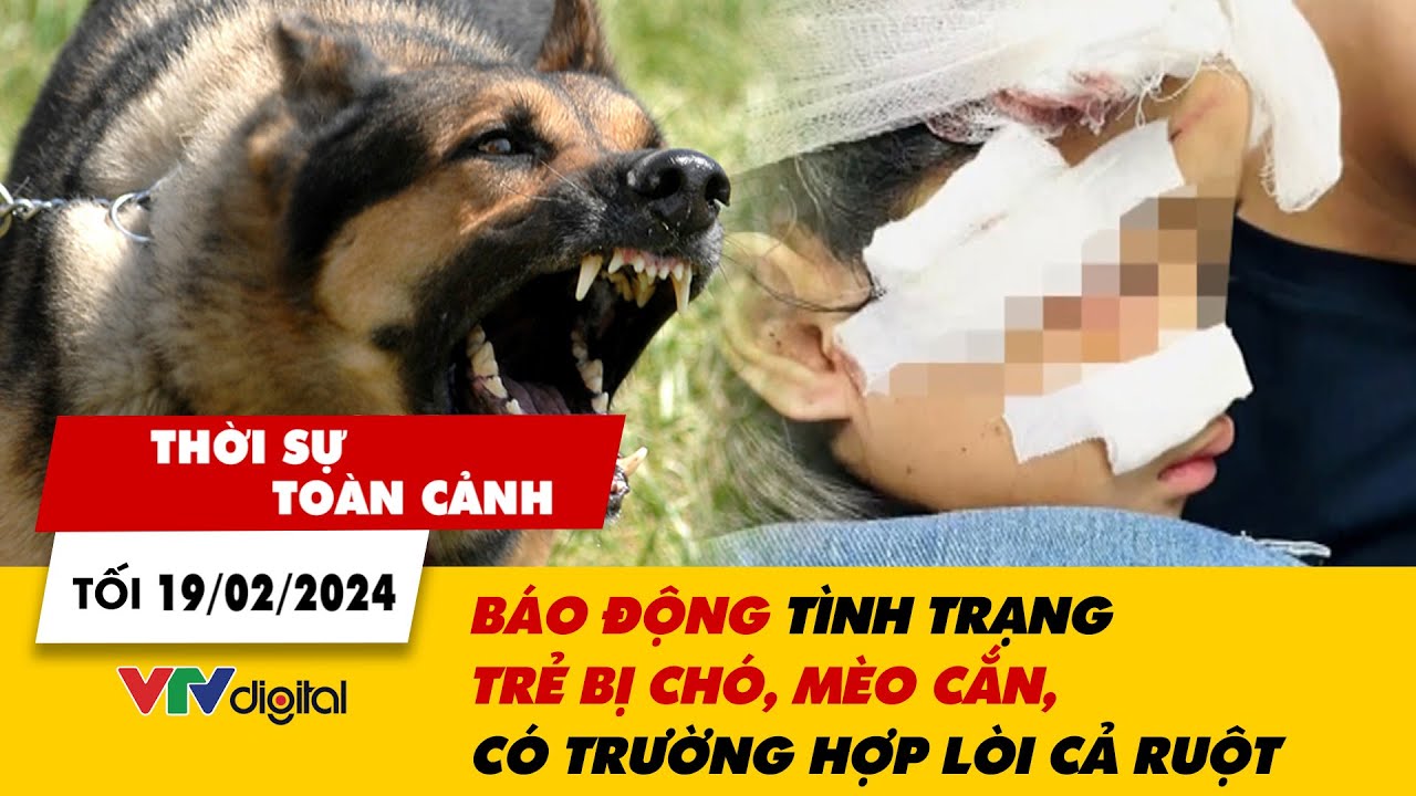 Thời sự toàn cảnh tối 19/2: Báo động tình trạng trẻ bị chó, mèo cắn, có trường hợp lòi ruột | VTV24