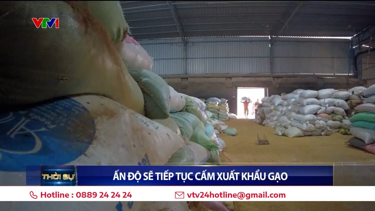 Ấn Độ sẽ tiếp tục cấm xuất khẩu gạo | VTV24