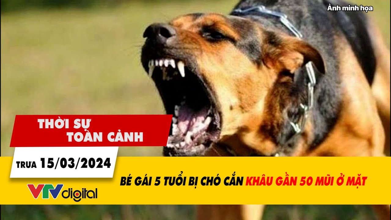 Thời sự toàn cảnh trưa 15/3: Bé 5 tuổi bị chó cắn khâu gần 50 mũi ở mặt| VTV24