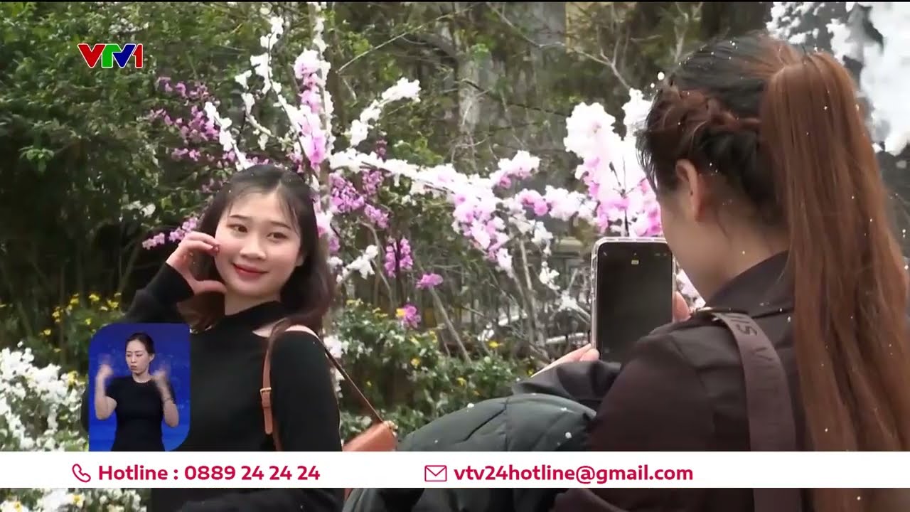 Từ đêm nay, miền Bắc chuyển mưa rét dài ngày | VTV24