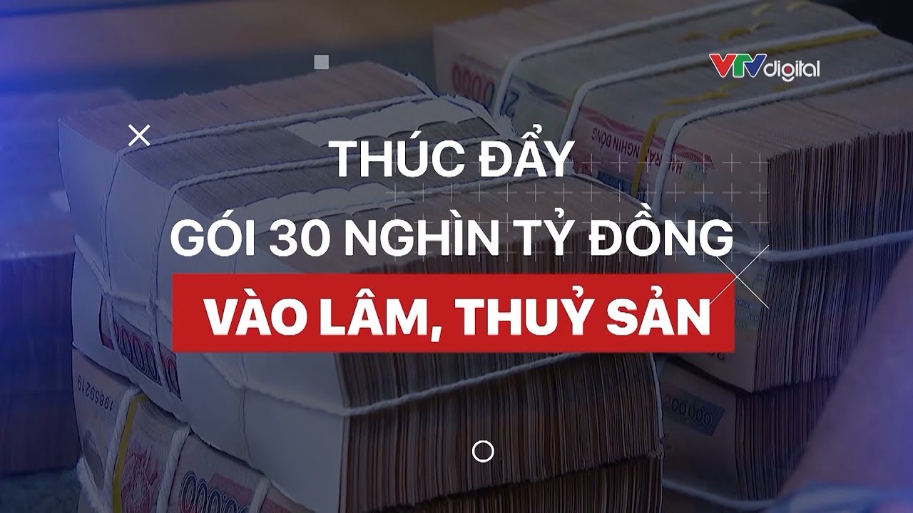 Thúc đẩy gói tín dụng 30.000 tỷ cho lâm, thuỷ sản | Dòng chảy tài chính | VTV24