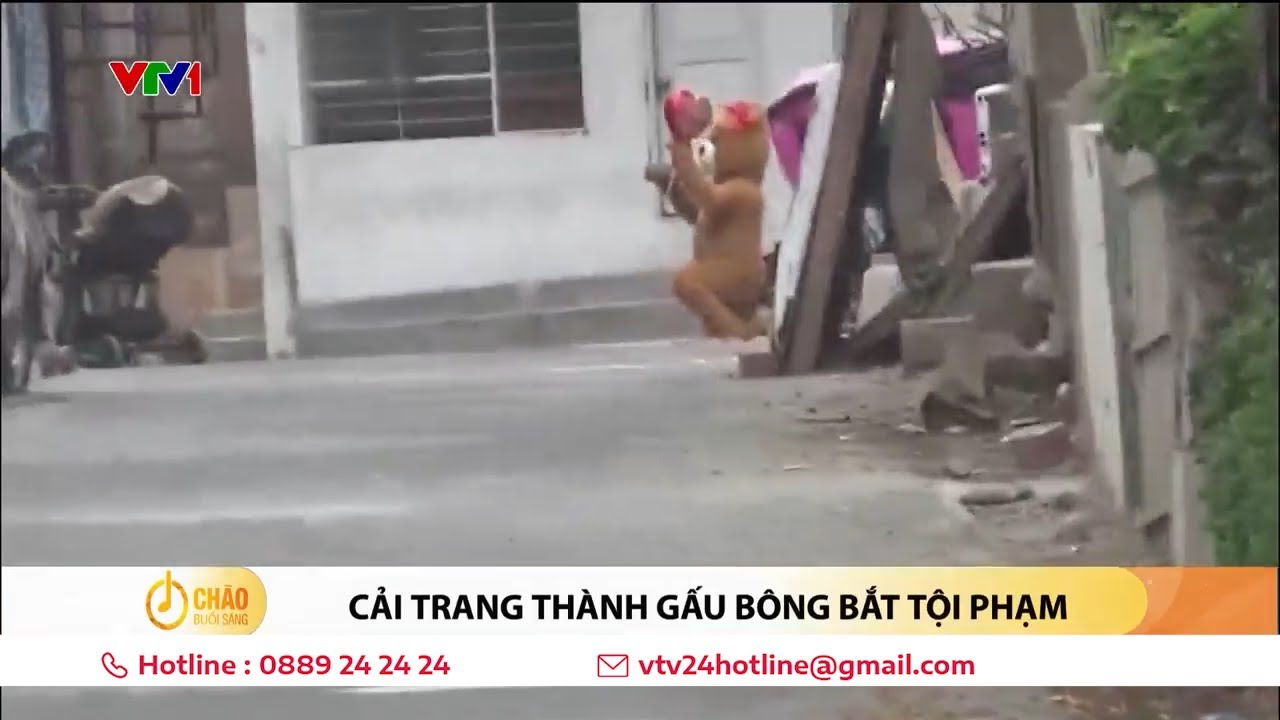 Cảnh sát cải trang thành gấu bông để bắt tội phạm bán chất cấm | VTV24