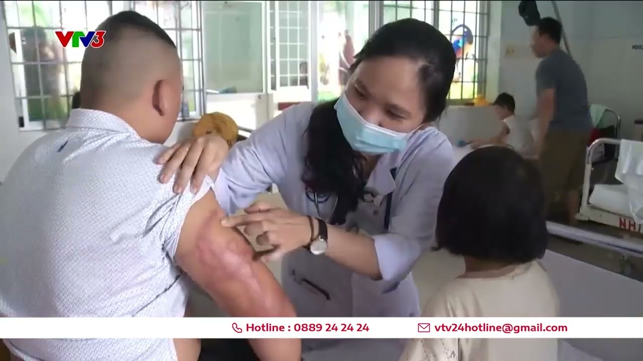 Cần sơ cứu vết sứa đốt đúng cách | VTV24