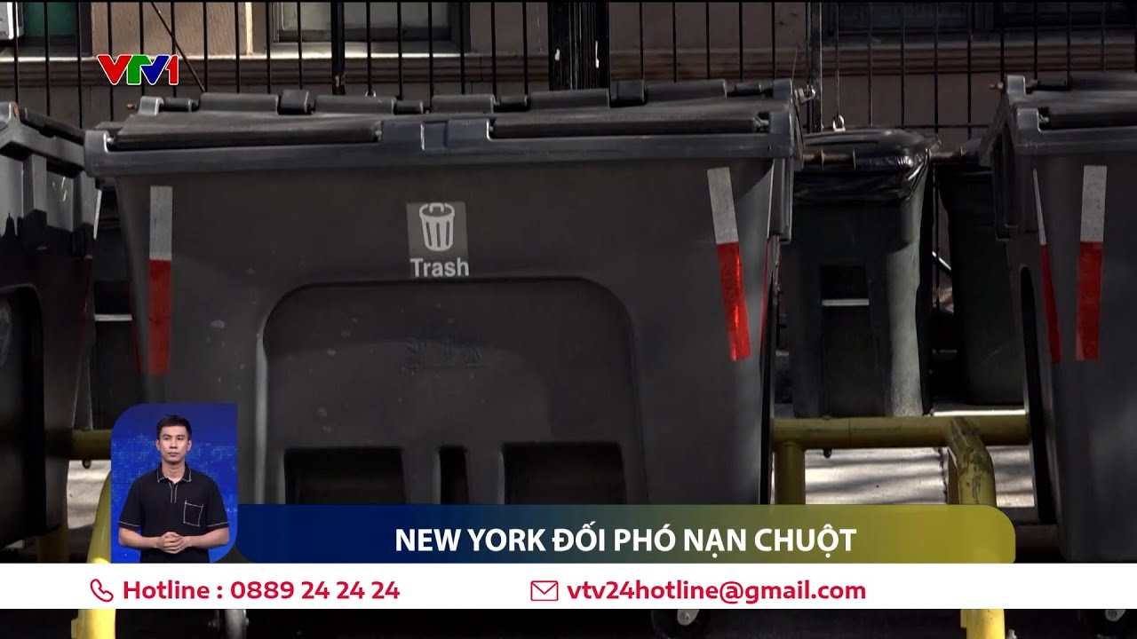 Thành phố New York đối phó với nạn chuột hoành hành | VTV24